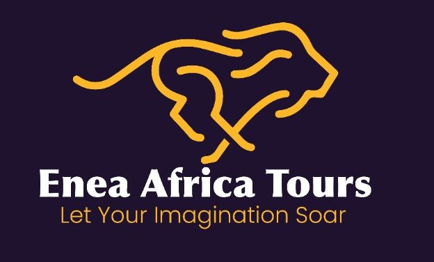 Enea Africa Tours