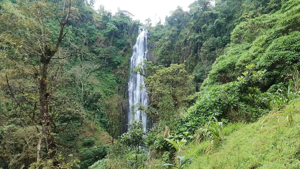 srcset="https://eneaafricatours.com/wp-content/uploads/2026/01/materuni-water-fall-001-200x113.webp