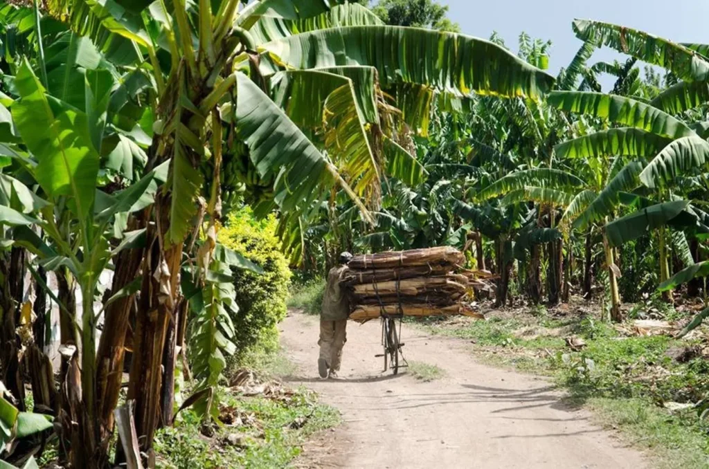 class="img-responsive