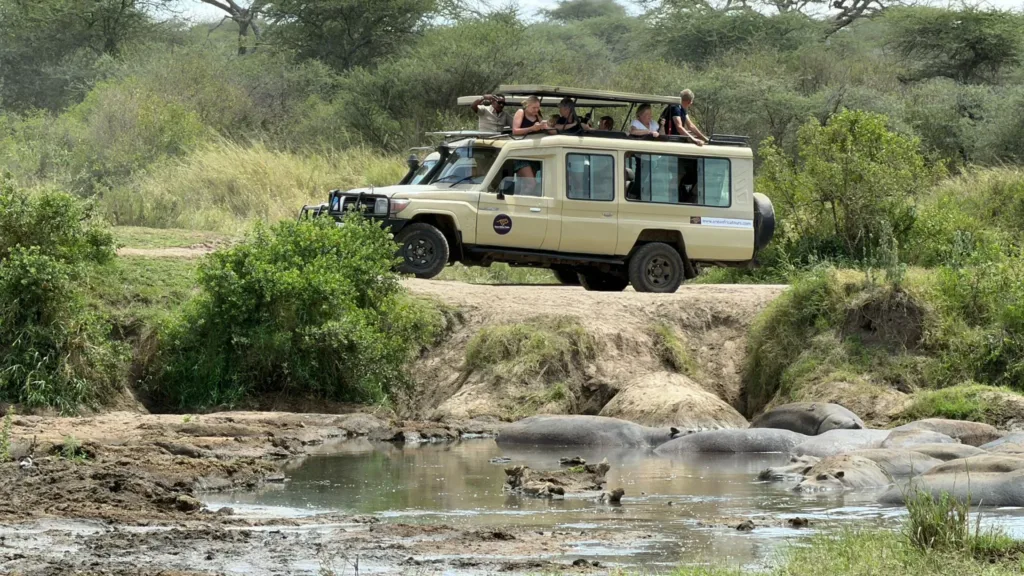 srcset="https://eneaafricatours.com/wp-content/uploads/2026/01/serengeti-national-park-0012-200x113.webp
