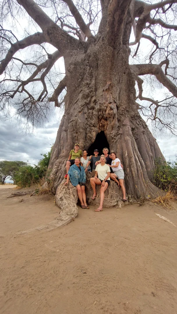 srcset="https://eneaafricatours.com/wp-content/uploads/2026/01/tarangire-np-50-169x300.webp