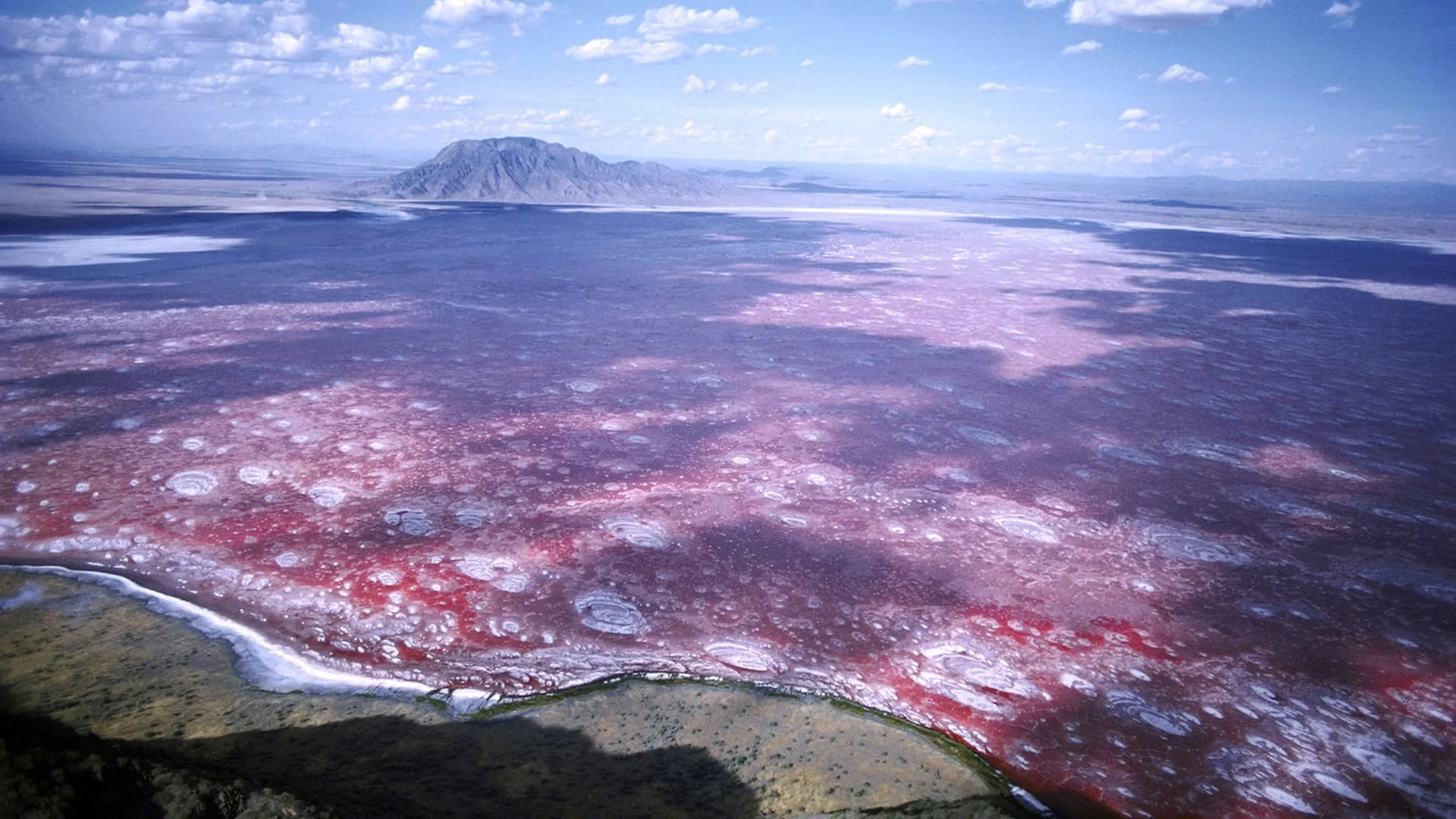 class="img-responsive