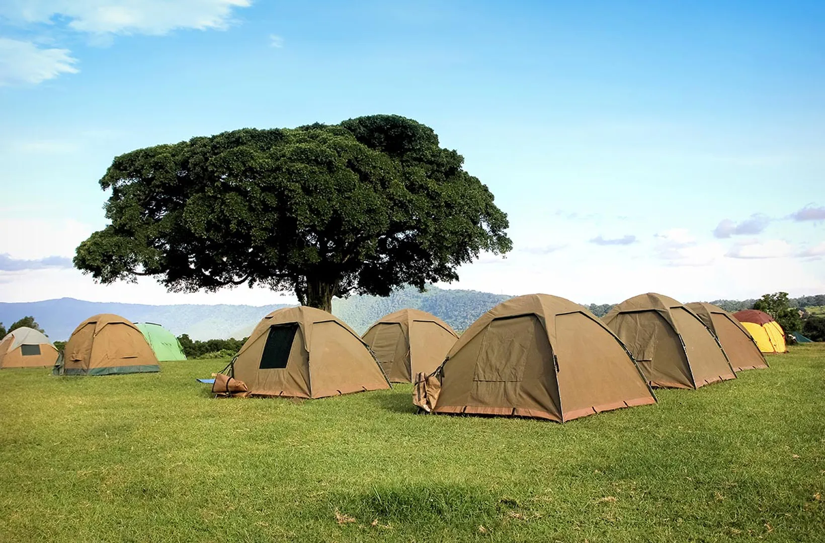 srcset="https://eneaafricatours.com/wp-content/uploads/2026/03/simba-campsite-ngorongoro-3-200x132.webp